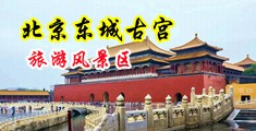 嗯啊不要太大了精品视频中国北京-东城古宫旅游风景区